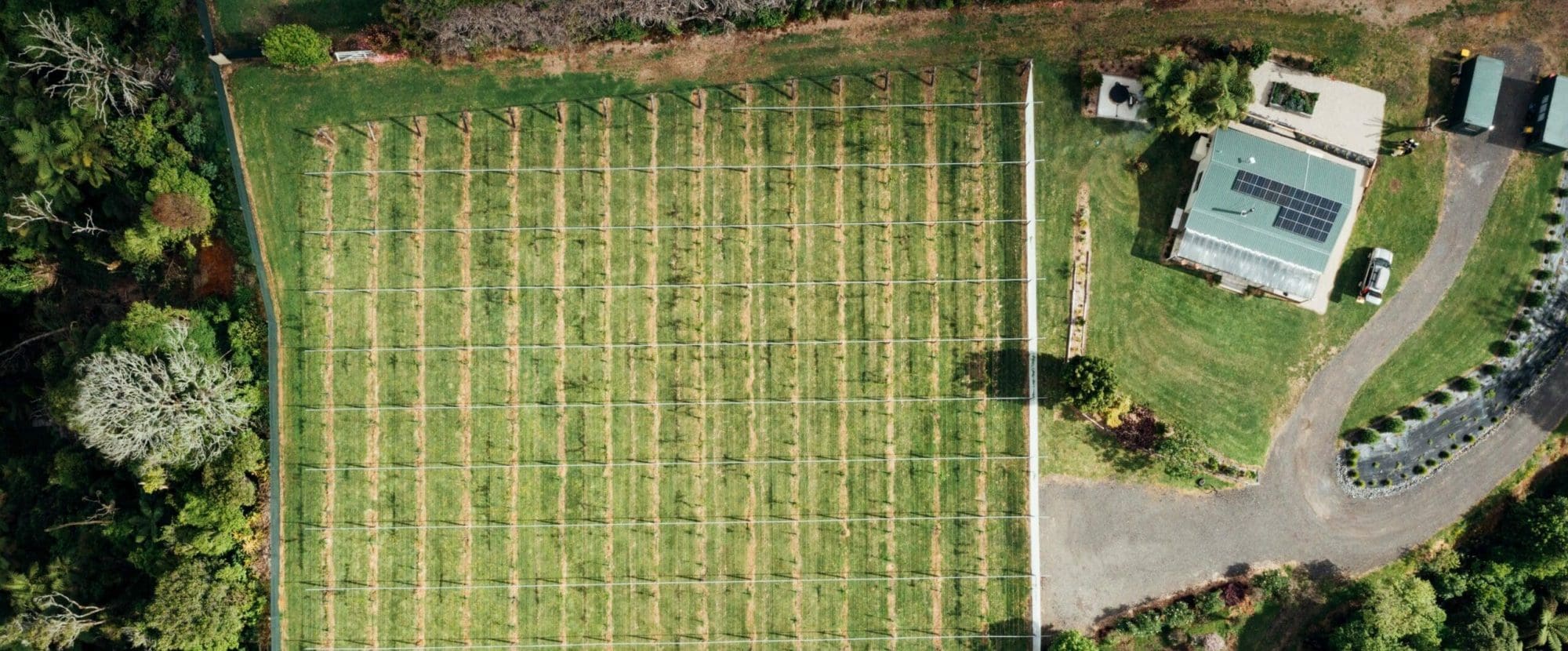 special 2023 c.neate nzcb 0362 scaled e1712644580311