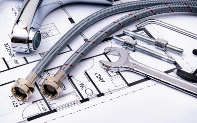 pexels-asphotography-14953886