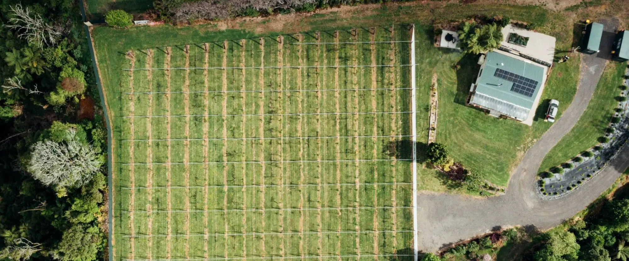 Sustainability At Nzcb 14 special 2023 c.neate nzcb 0362 scaled e1712644580311