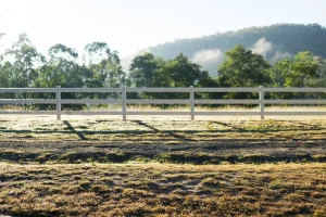 white fence with green background