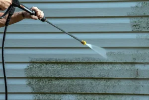 housewashing service image