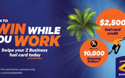 zen0140_zbusinesssummer_partnerbanner_2000x1000_1x