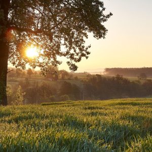 landscape-3140328_1280