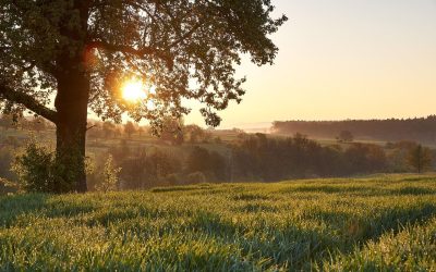 landscape-3140328_1280